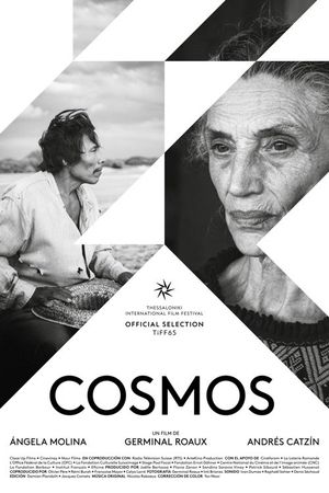 Cosmos's poster