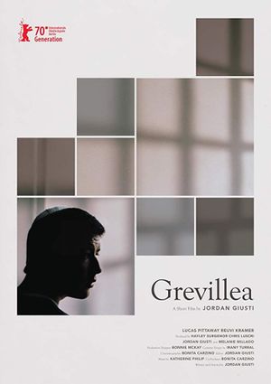 Grevillea's poster