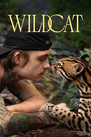 Wildcat's poster