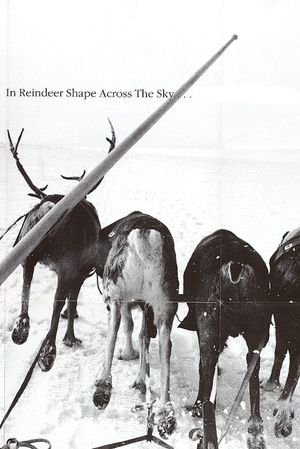 In the Shape of a Reindeer Across the Canopy of Heaven's poster image