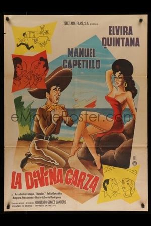 La divina garza's poster