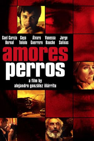 Amores Perros's poster