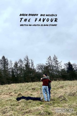 The Favour's poster