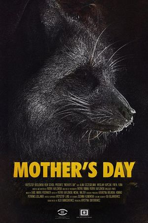 Mother's Day's poster