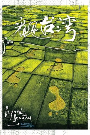Beyond Beauty: Taiwan from Above's poster