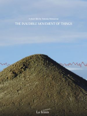 The inaudible movement of things's poster