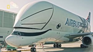 Megastructures: Airbus Beluga XL's poster