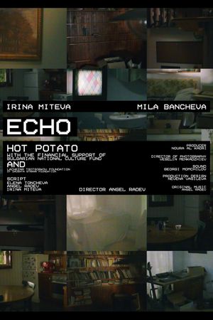 ECHO's poster