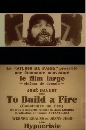 To Build a Fire's poster