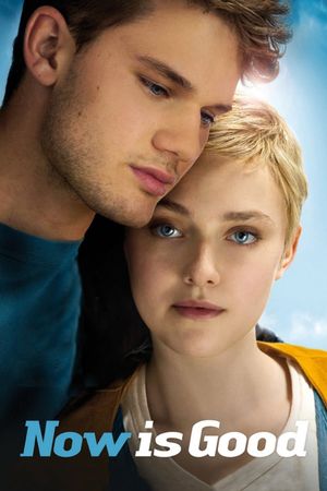 Now Is Good's poster