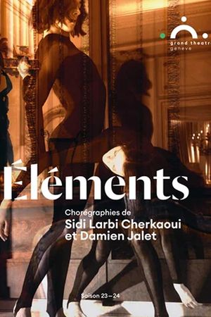 Elements Sidi Larbi Cherkaoui with Damien Jalet and Marina Abramovic's poster