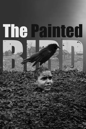 The Painted Bird's poster