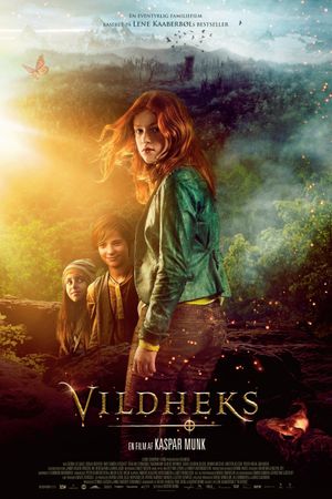 Wild Witch's poster