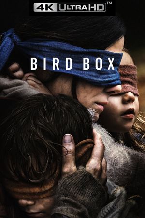 Bird Box's poster