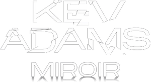 Kev Adams : Miroir's poster