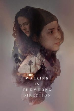 Walking in the Wrong Direction's poster image