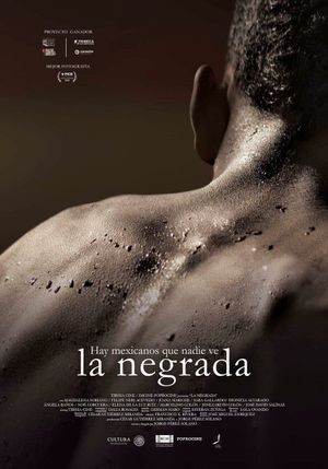 Black Mexicans's poster