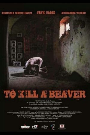 To Kill a Beaver's poster