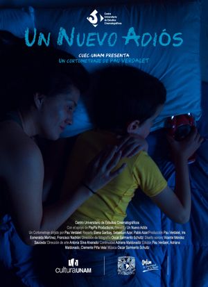 Un Nuevo Adiós's poster