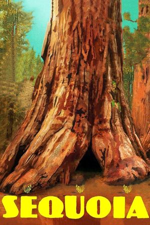 Sequoia's poster