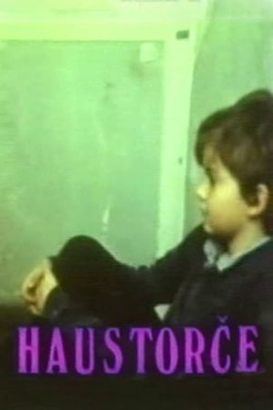 Small Doorway's poster