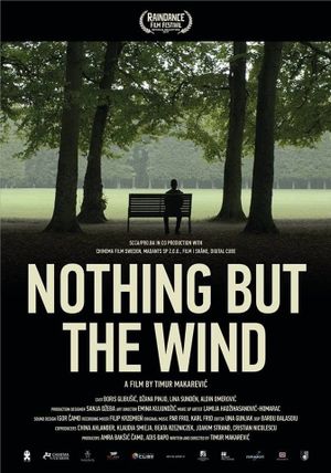 Nothing But the Wind's poster