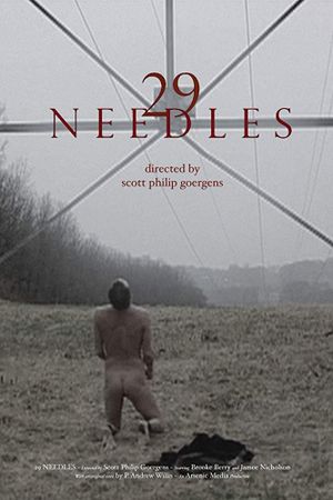29 Needles's poster