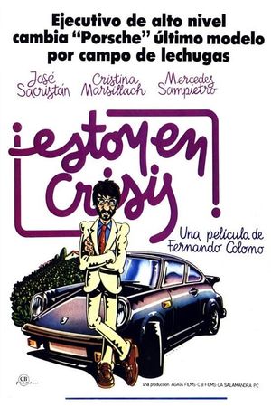 Estoy en crisis's poster