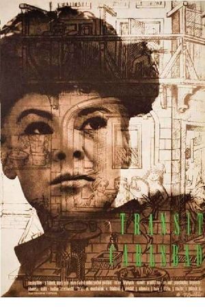 Transit Carlsbad's poster