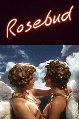 Rosebud's poster