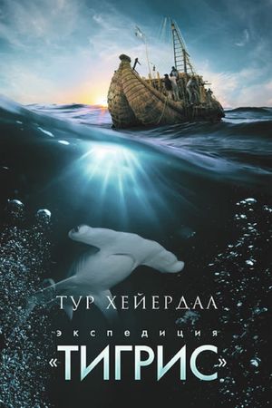The Tigris Expedition's poster