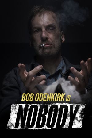 Nobody's poster