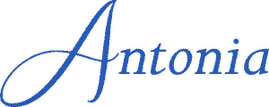 Antonia's Line's poster