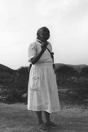 Zapata's Path's poster