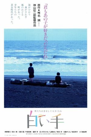 The Pale Hand's poster