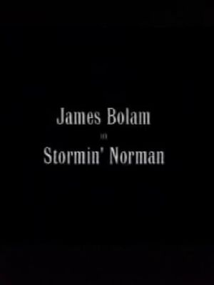 Stormin' Norman's poster