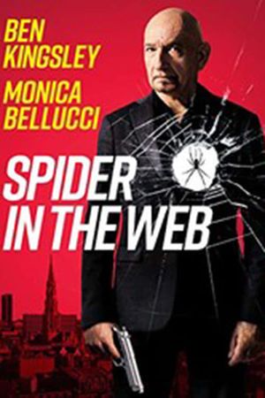 Spider in the Web's poster