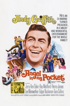 Angel in My Pocket's poster