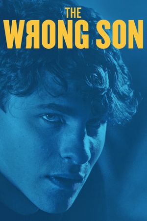 Her Son's Secret's poster