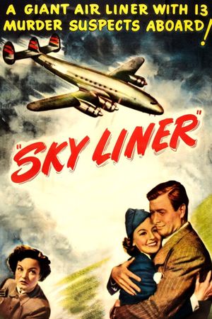 Sky Liner's poster image