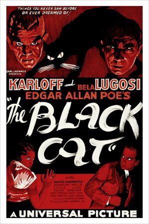 The Black Cat's poster