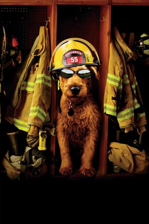 Firehouse Dog's poster