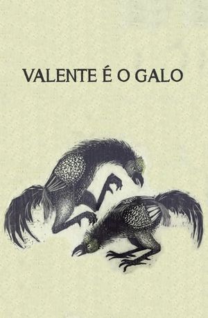 Valente é o Galo's poster