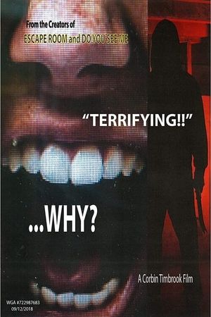 Why?'s poster image