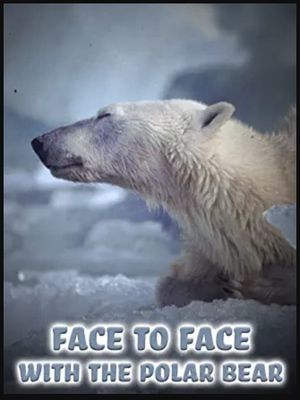 Face to Face with the Polar Bear's poster