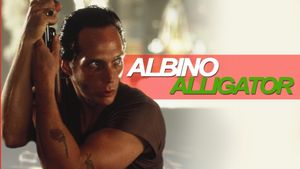 Albino Alligator's poster