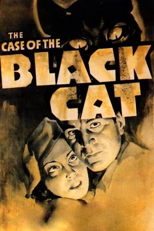 The Case of the Black Cat's poster
