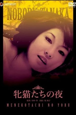 Night of the Felines's poster