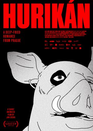 Hurikán's poster