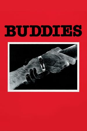 Buddies's poster